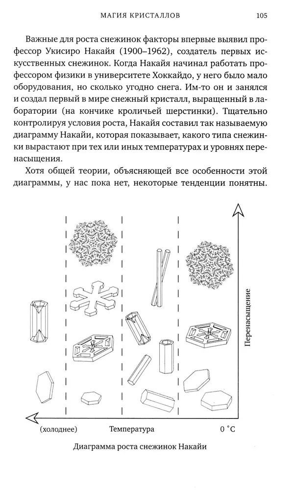 Удивительная физика. Магия, из которой состоит наш мир