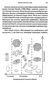 Удивительная физика. Магия, из которой состоит наш мир