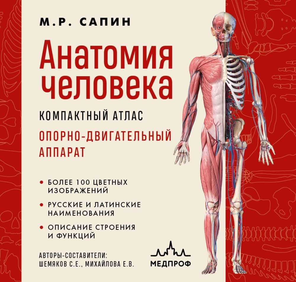 Anatomia człowieka. Kompaktowy atlas. Układ ruchu i podparcia