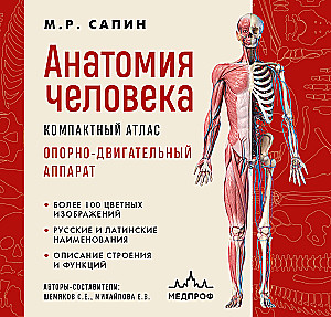 Anatomia człowieka. Kompaktowy atlas. Układ ruchu i podparcia