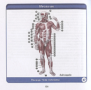 Anatomia człowieka. Kompaktowy atlas. Układ ruchu i podparcia