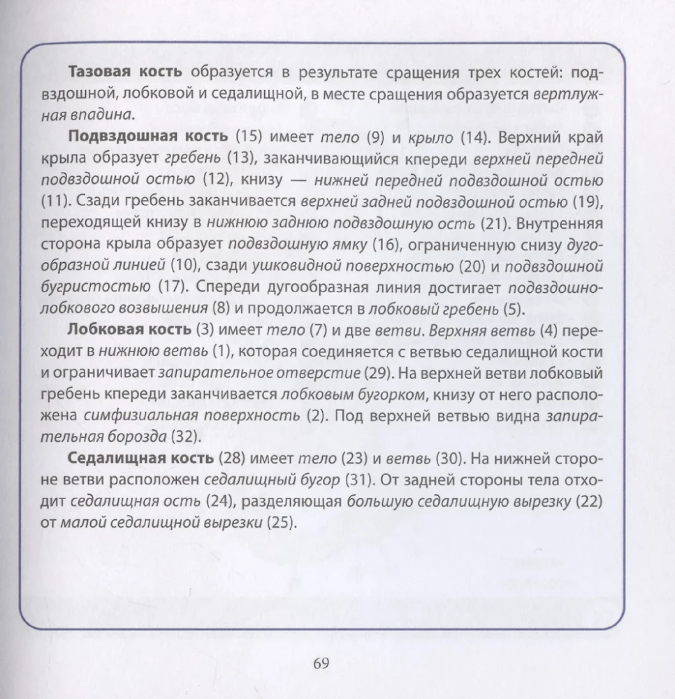 Anatomia człowieka. Kompaktowy atlas. Układ ruchu i podparcia