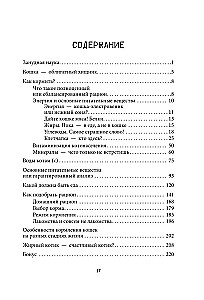 Чем и как кормить кошку, чтобы не навредить