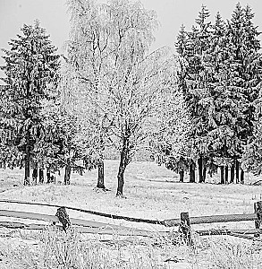 Monochrom. Przenikająca piękność Rosji w czarno-białych fotografiach Iwana Demientiewskiego