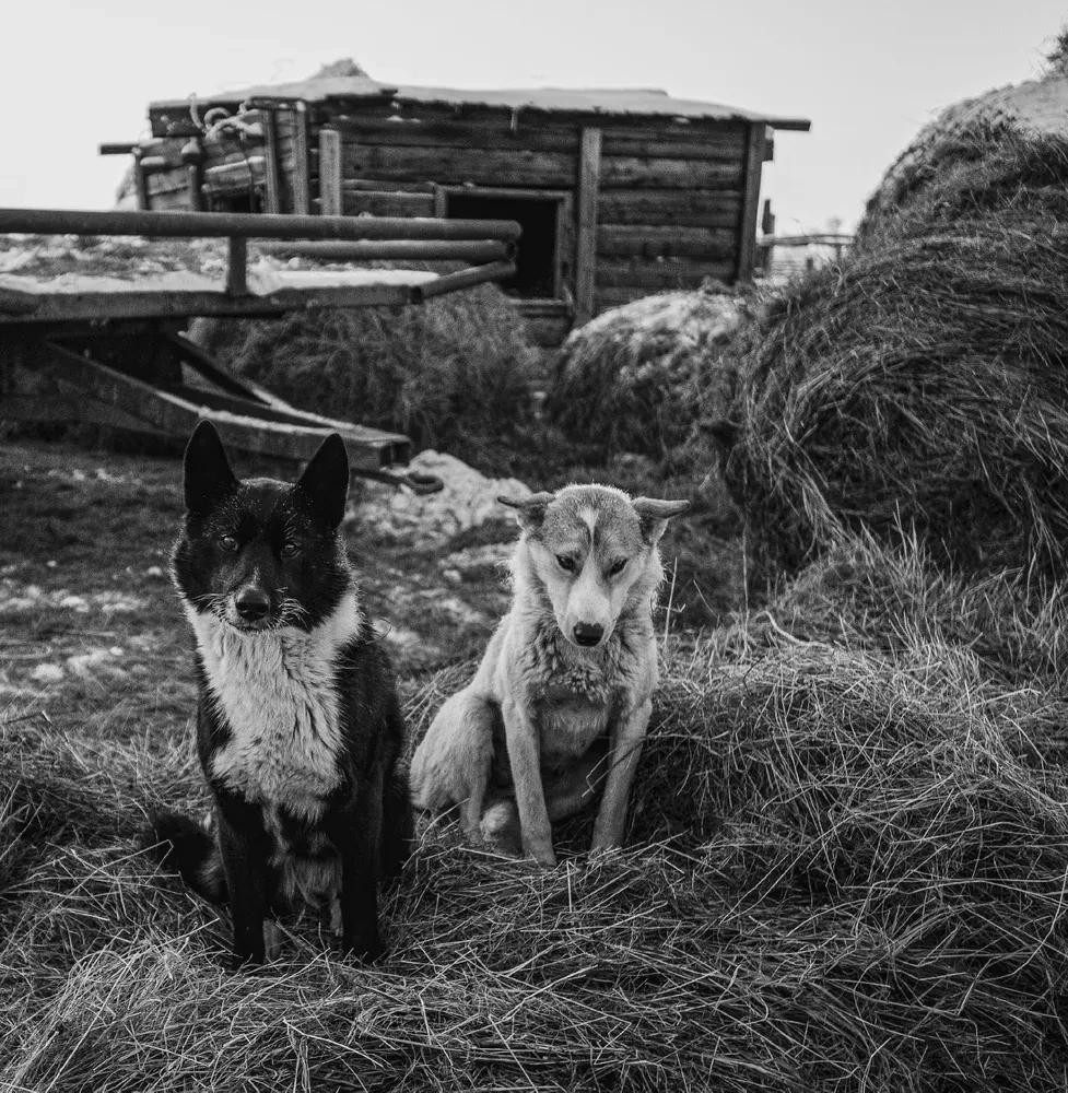 Monochrom. Przenikająca piękność Rosji w czarno-białych fotografiach Iwana Demientiewskiego