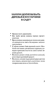 Искусство обрезки деревьев и кустарников для создания здорового и урожайного сада