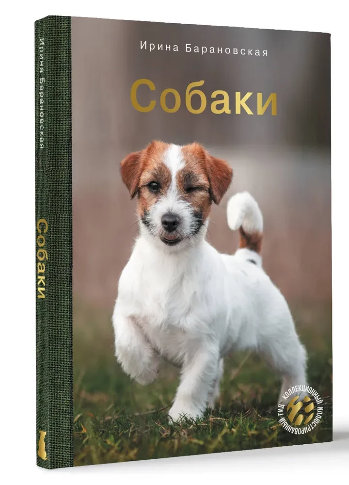 Собаки