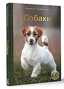 Собаки