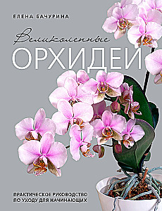 Великолепные орхидеи. Практичное руководство по уходу для начинающих