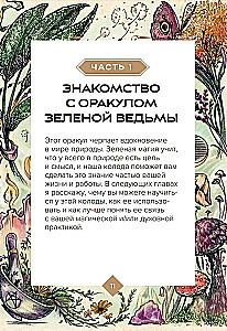 Зеленая ведьма. Колода-оракул. Откройте для себя силу и мудрость природной магии (50 карт и руководство)