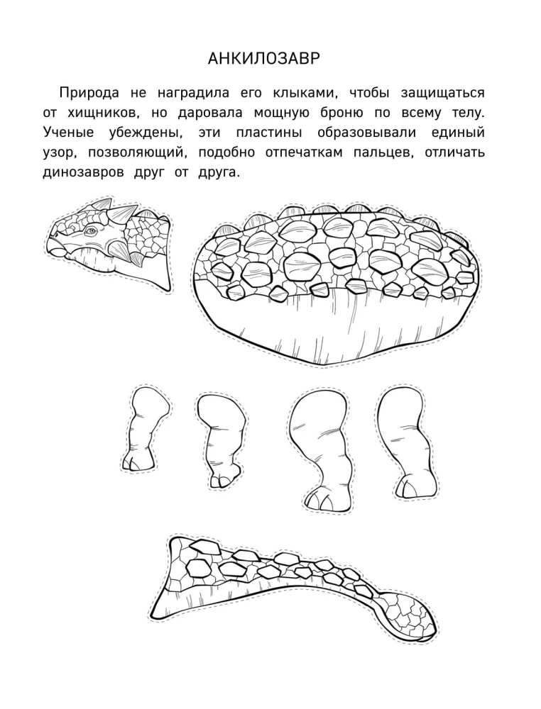 Бумажные динозавры. Вырежи, раскрась, играй. 12 готовых схем