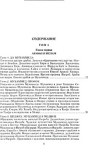 История ислама. От доисламской истории арабов до падения династии Аббасидов в XVI веке